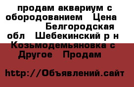 продам аквариум с обородованием › Цена ­ 30 000 - Белгородская обл., Шебекинский р-н, Козьмодемьяновка с. Другое » Продам   